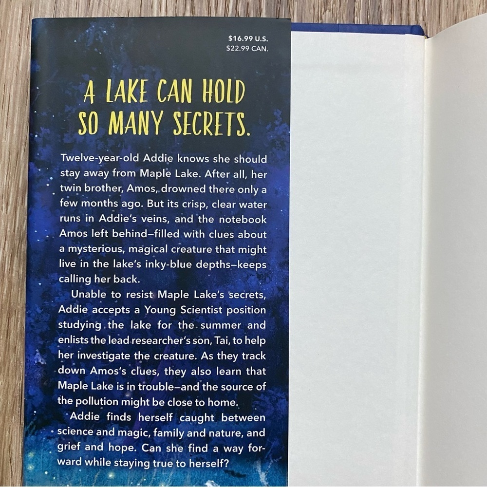NEW KIDS BOOK : A Light In the Lake by Sarah R. Baughman - Picture 4 of 7